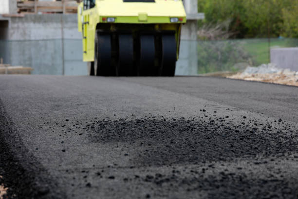 Best Paver Driveway Replacement  in Ben Bolt, TX