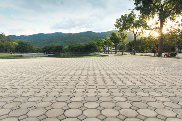 Best Commercial Driveway Pavers  in Ben Bolt, TX