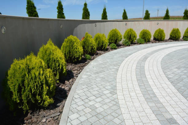 Best Interlocking Driveway Pavers  in Ben Bolt, TX